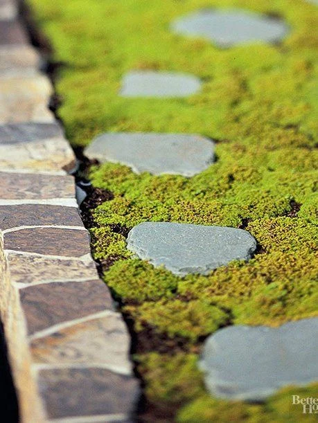 Japanese Garden screenshot