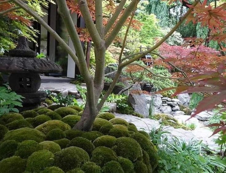 Japanese Garden screenshot